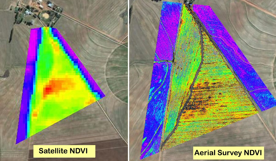 Comparison of satellite NDVI with aerial survey NDVI captured by a drone